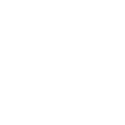 solutions-services-icon1-2